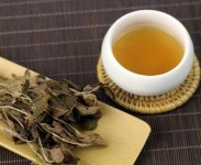 金線蓮泡茶一次放幾根？