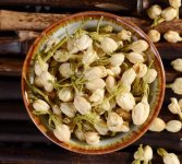 鮮茉莉花怎么炮制成茶？