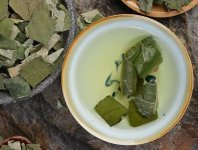 荷葉茶為什么叫短命茶？