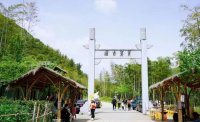 5月12日：徒步貢茶古道，天然氧吧，綠色之旅